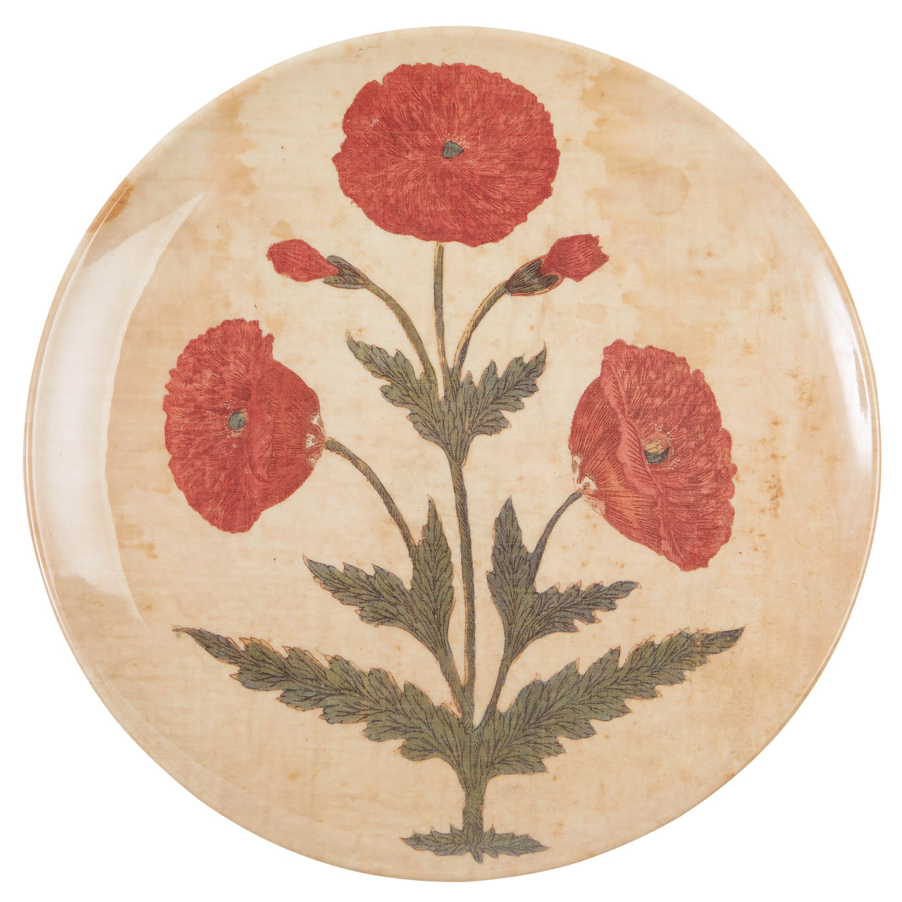 Siren Song Poppy Dinner Plates - Set of 4