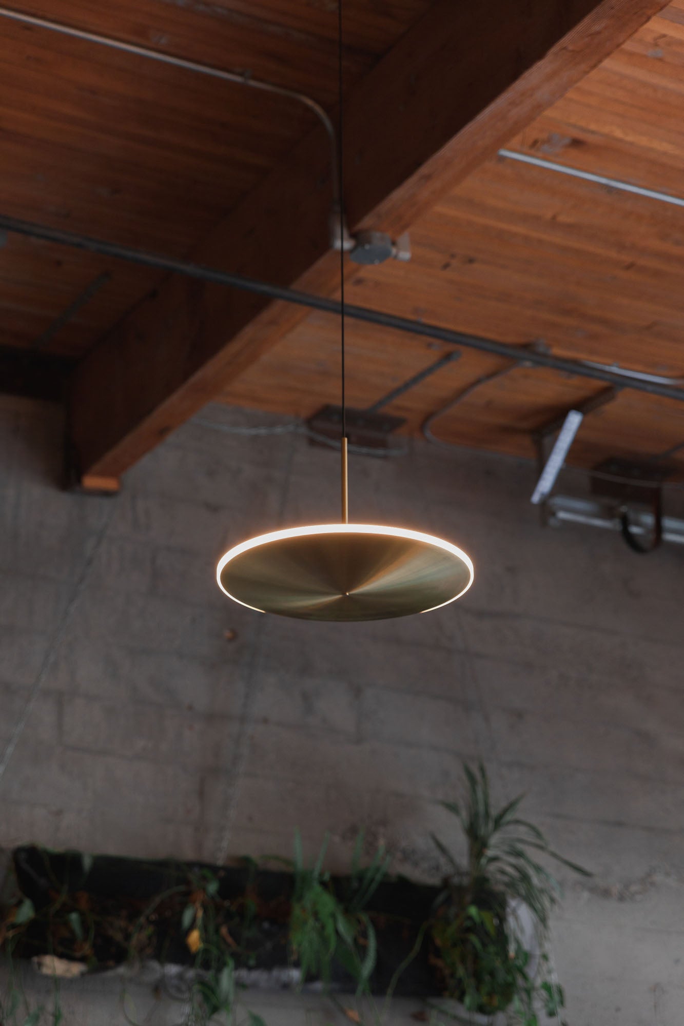 Graypants Chrona Dish Pendant - Horizontal Style Lighting Fixture